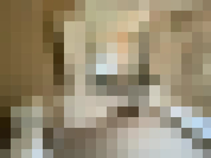  / #8