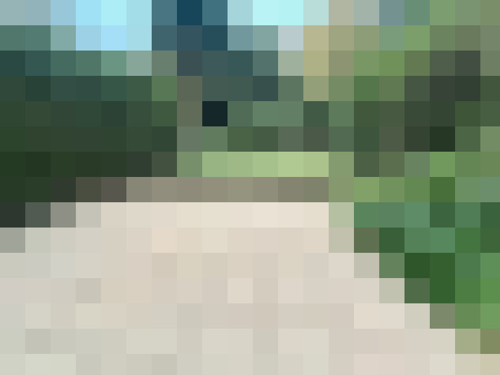  / #13
