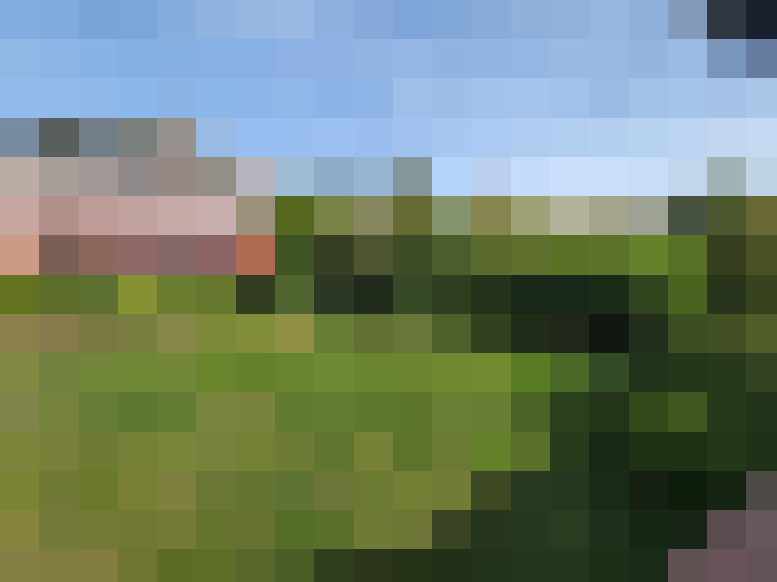  / #7