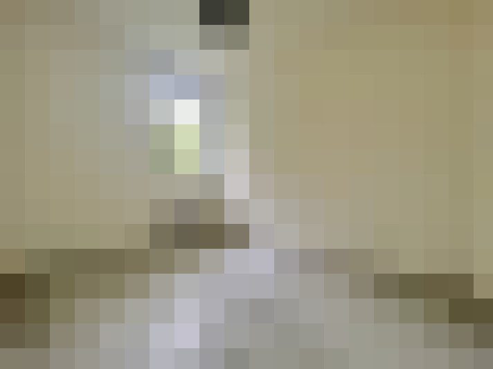  / #8