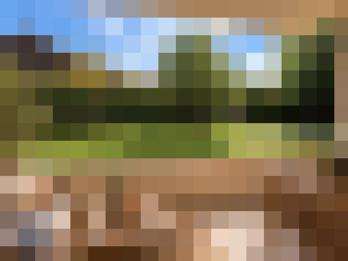  / #5