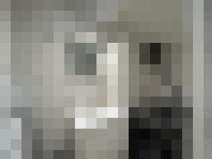  / #8