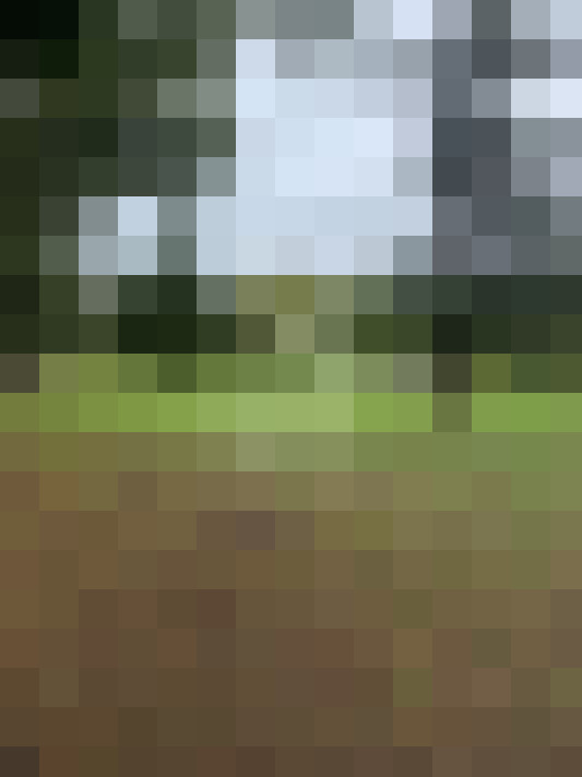  / #13