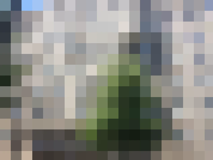  / #9
