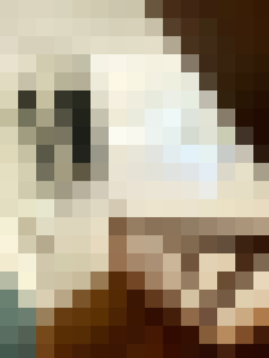  / #15