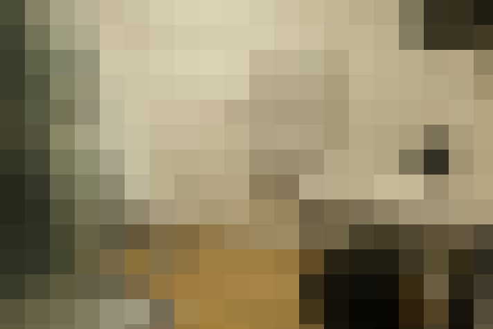  / #9