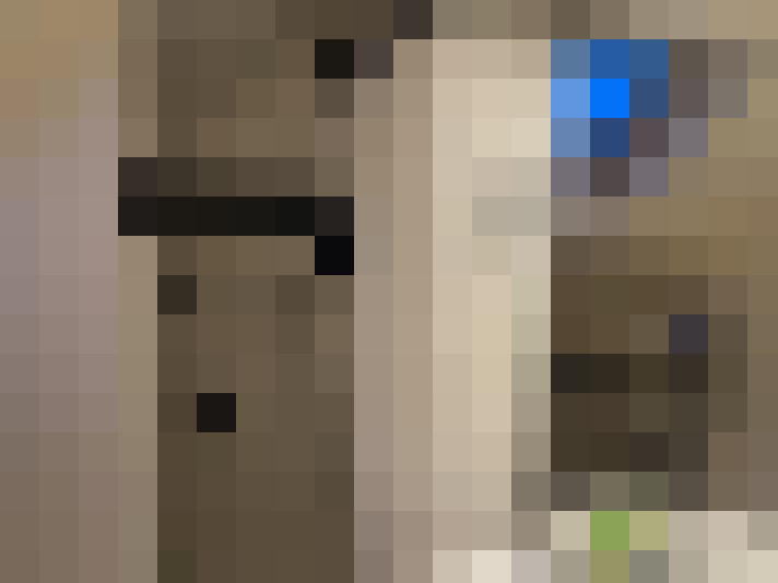  / #6