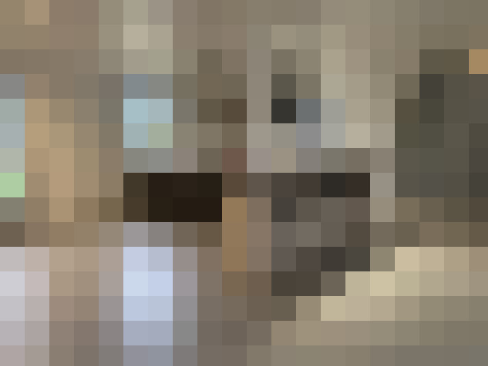  / #7