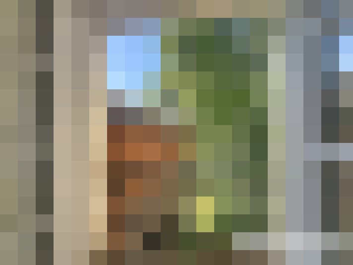  / #7