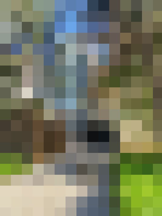  / #7
