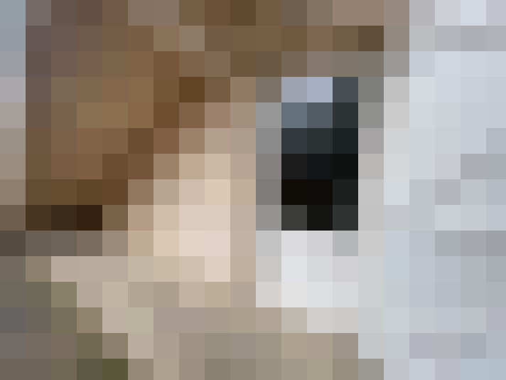  / #9