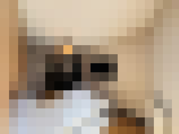  / #9