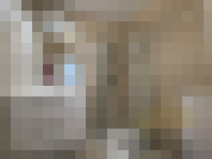  / #13