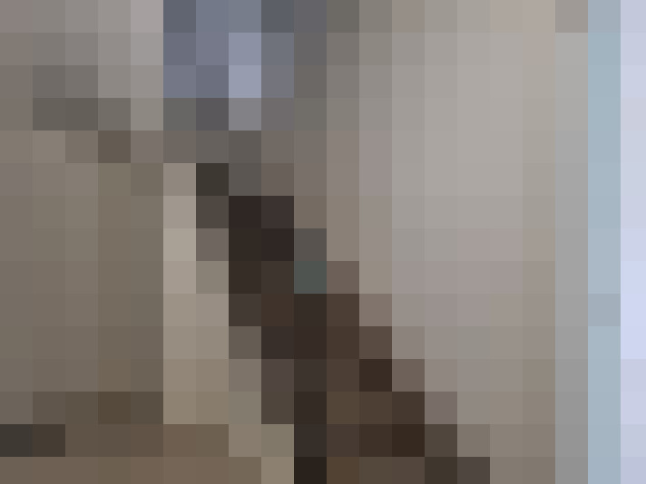  / #16