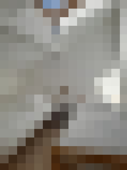  / #15
