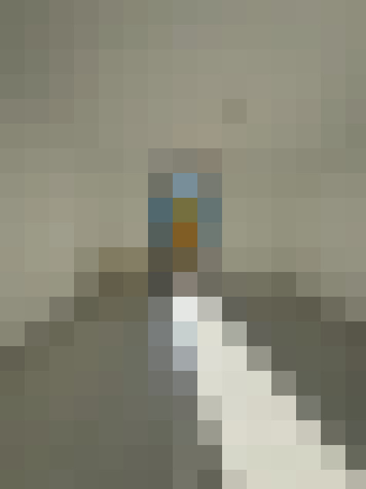  / #6