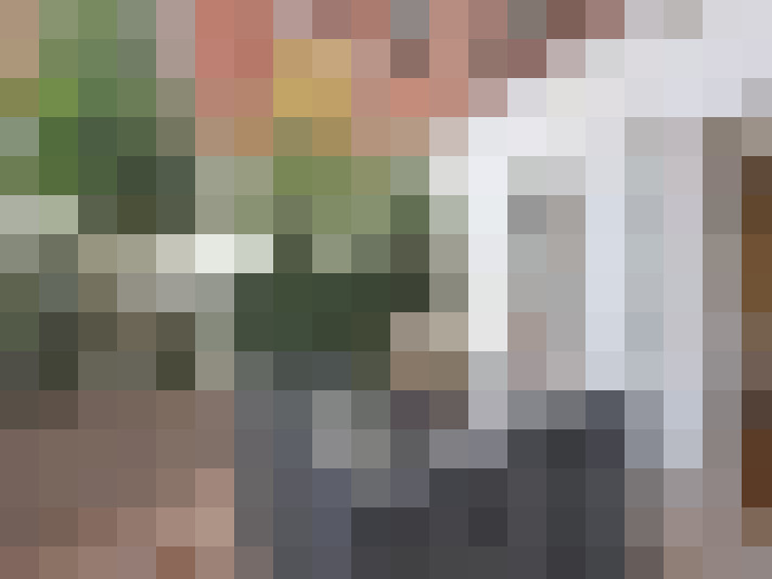  / #19