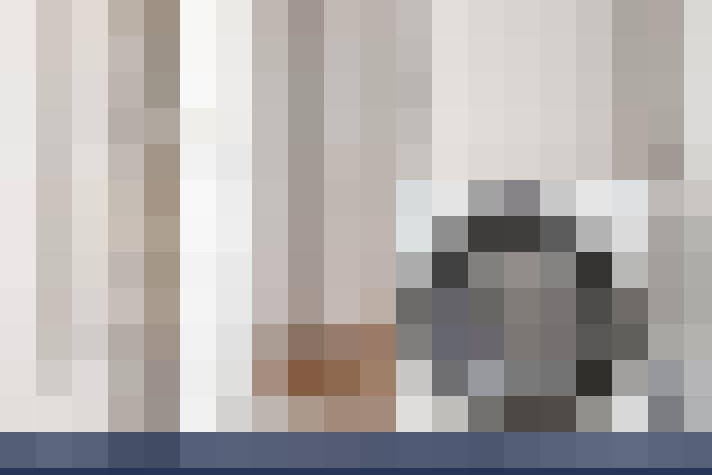  / #19