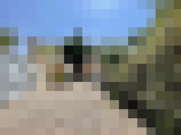  / #15