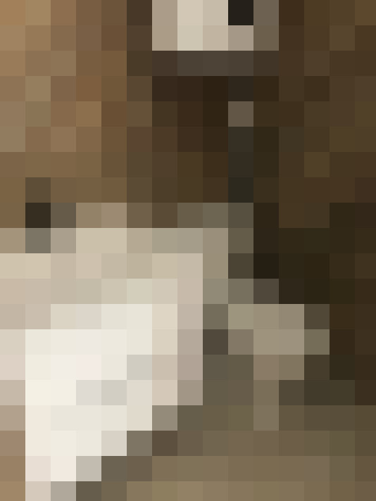  / #11