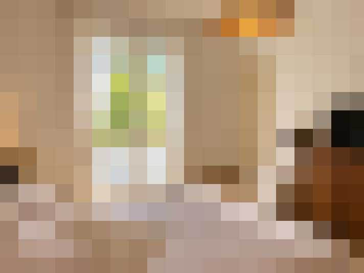  / #14