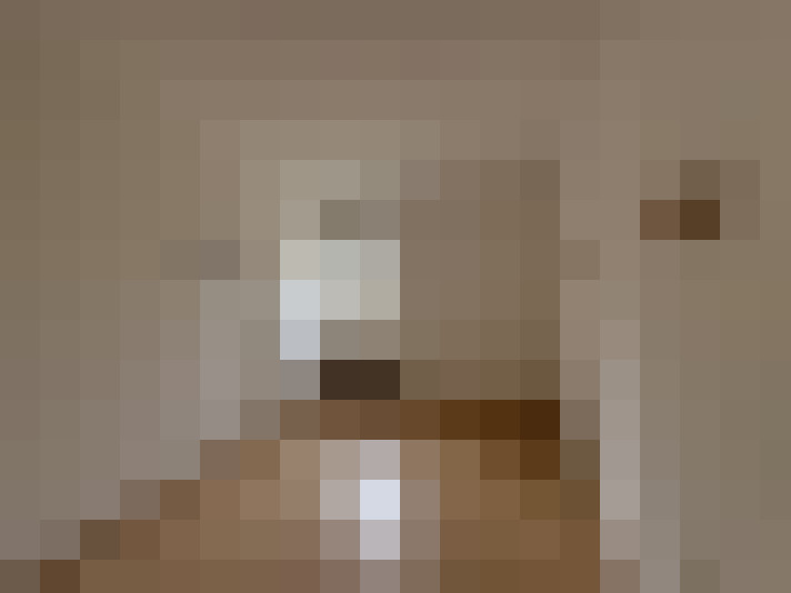  / #4