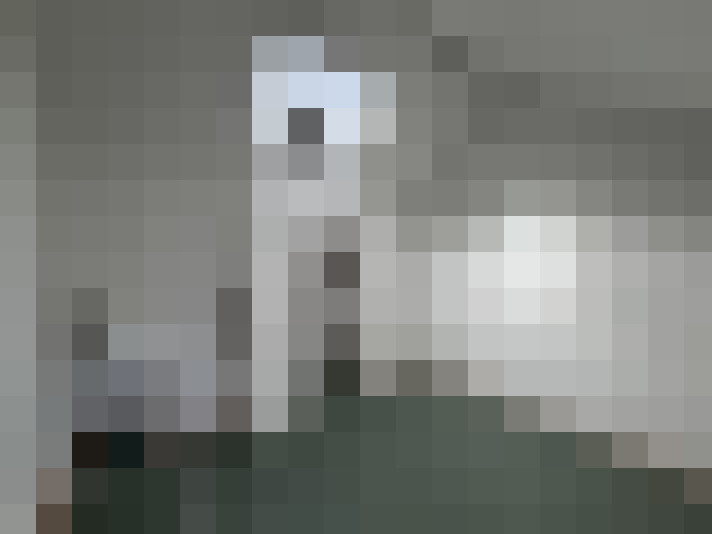  / #11