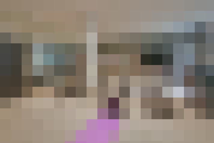  / #15