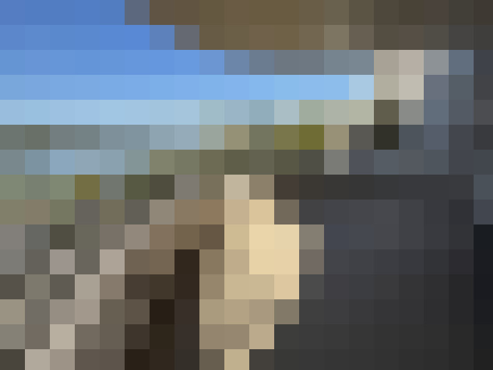  / #11