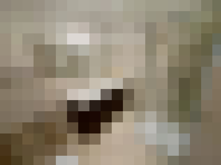  / #8