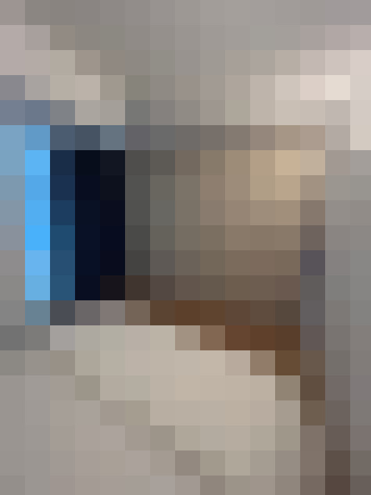  / #11