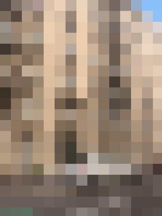  / #20