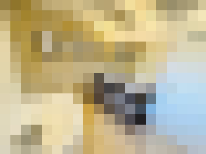  / #20