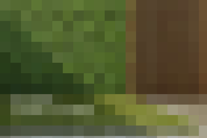  / #13