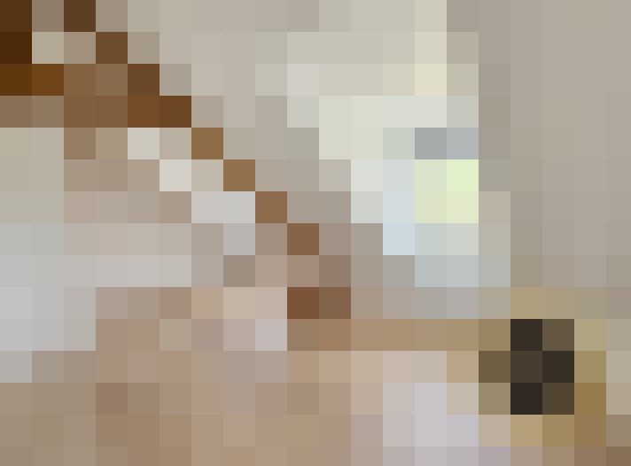  / #13