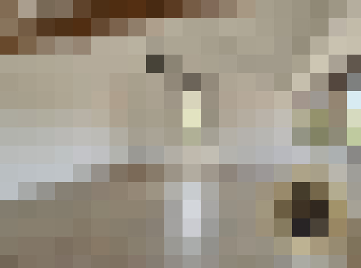  / #7