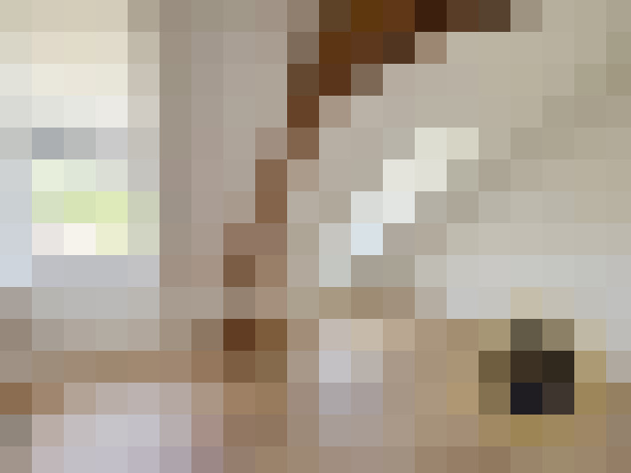  / #12
