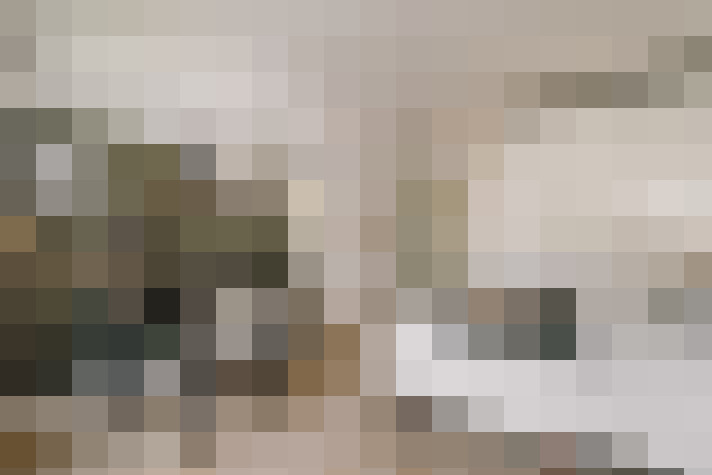 / #16