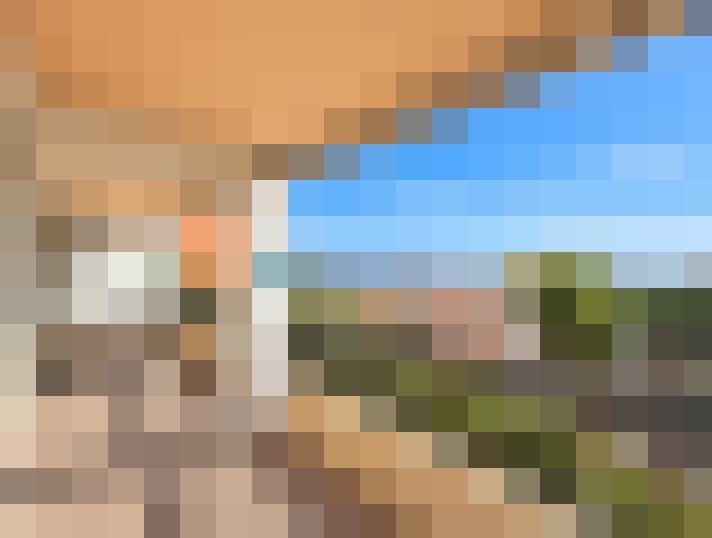  / #15