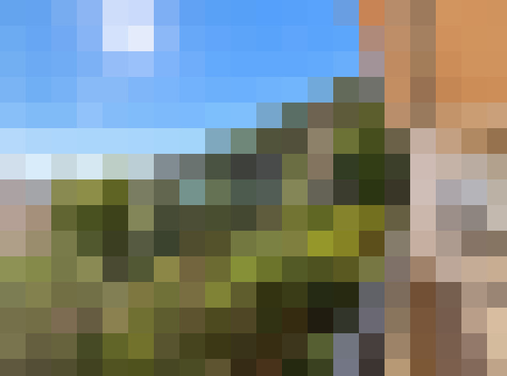  / #14