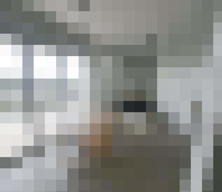  / #15