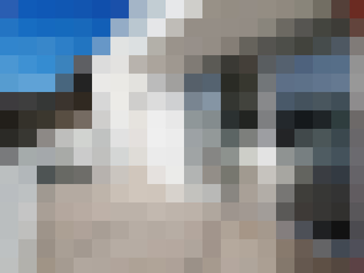  / #8