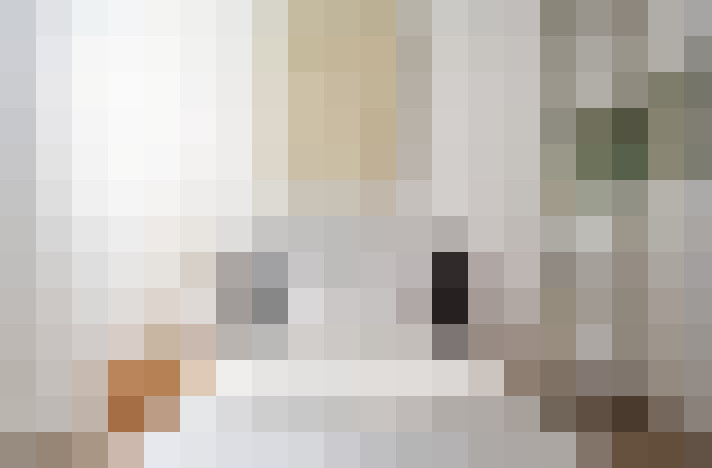  / #15