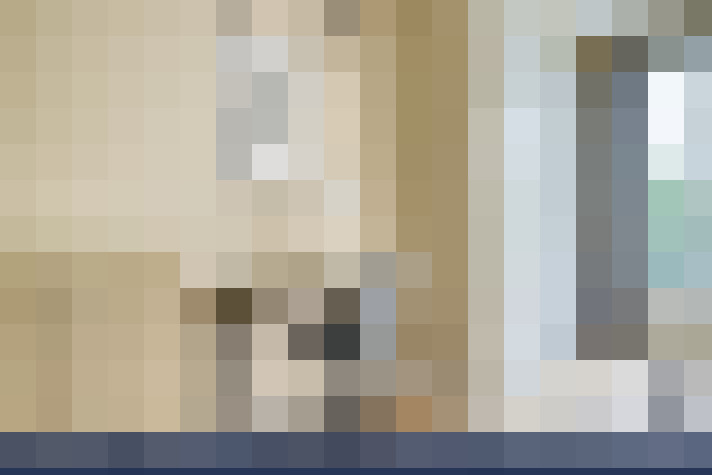  / #15