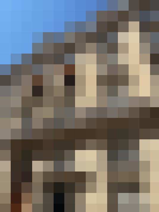 / #13