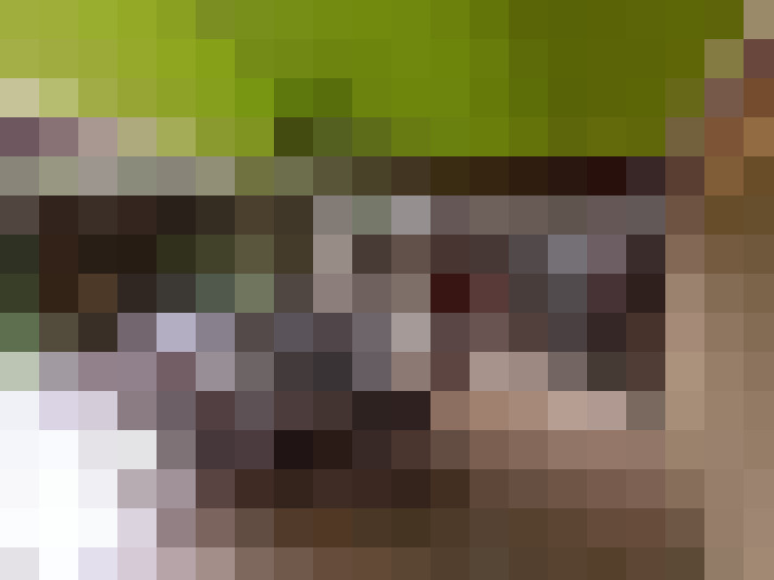  / #24