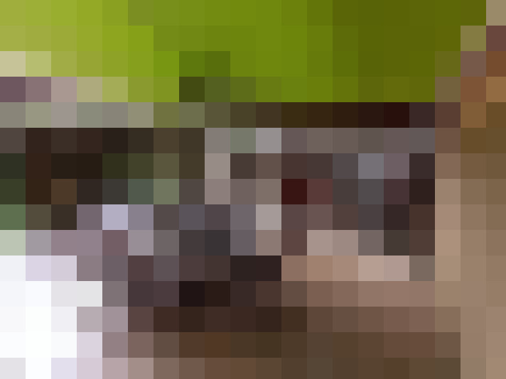  / #21