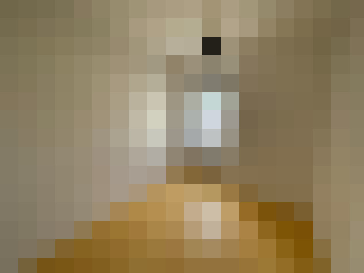  / #6