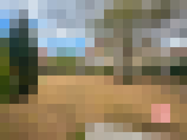  / #16