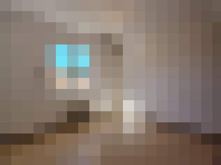  / #9